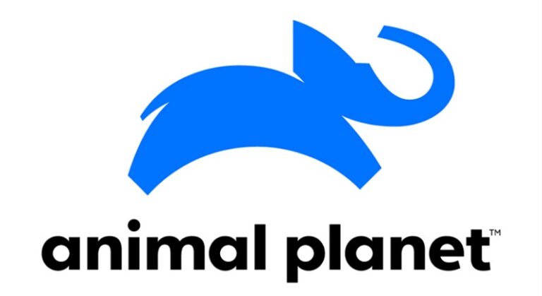 5 Best Ways To Watch Animal Planet Online Without Cable (2022 Guide)
